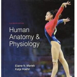 Human Anatomy & Physiology 11th Edition Hardcover !! 978-0134580999